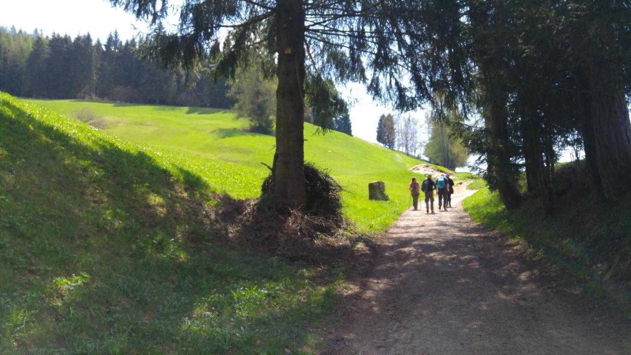 Alpen Garten Hotel Margherita Rumo Esterno foto